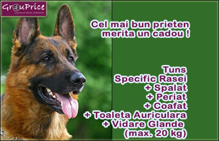 Imagine cupon oferta - Tuns Specific Rasei + Periat + Coafat + Toaleta Auriculara + Vidare Glande + Taiat Unghiute (max. 12 kg)