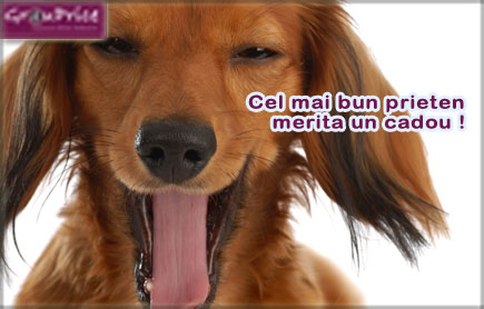 Pentru animalute Fericite PACHET - sanatatea si ingrijire: Deparazitare externa +Tuns Specific Rasei + Descalcit + Coafat + Toaleta Auriculara + Vidare Glande + Taiat Unghiute pentru animalul tau de companie