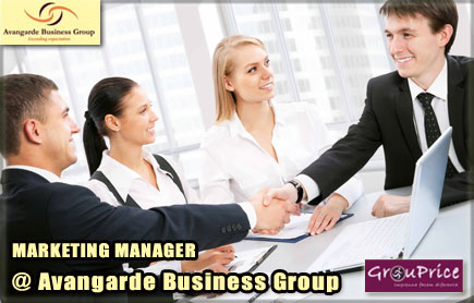 CURS MARKETING MANAGER -  ACREDITAT ANC @ Avangarde Business Group.